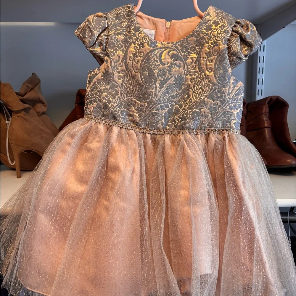 Iris & Ivy Gold and Pink Brocade Dress - Picture 2 of 4